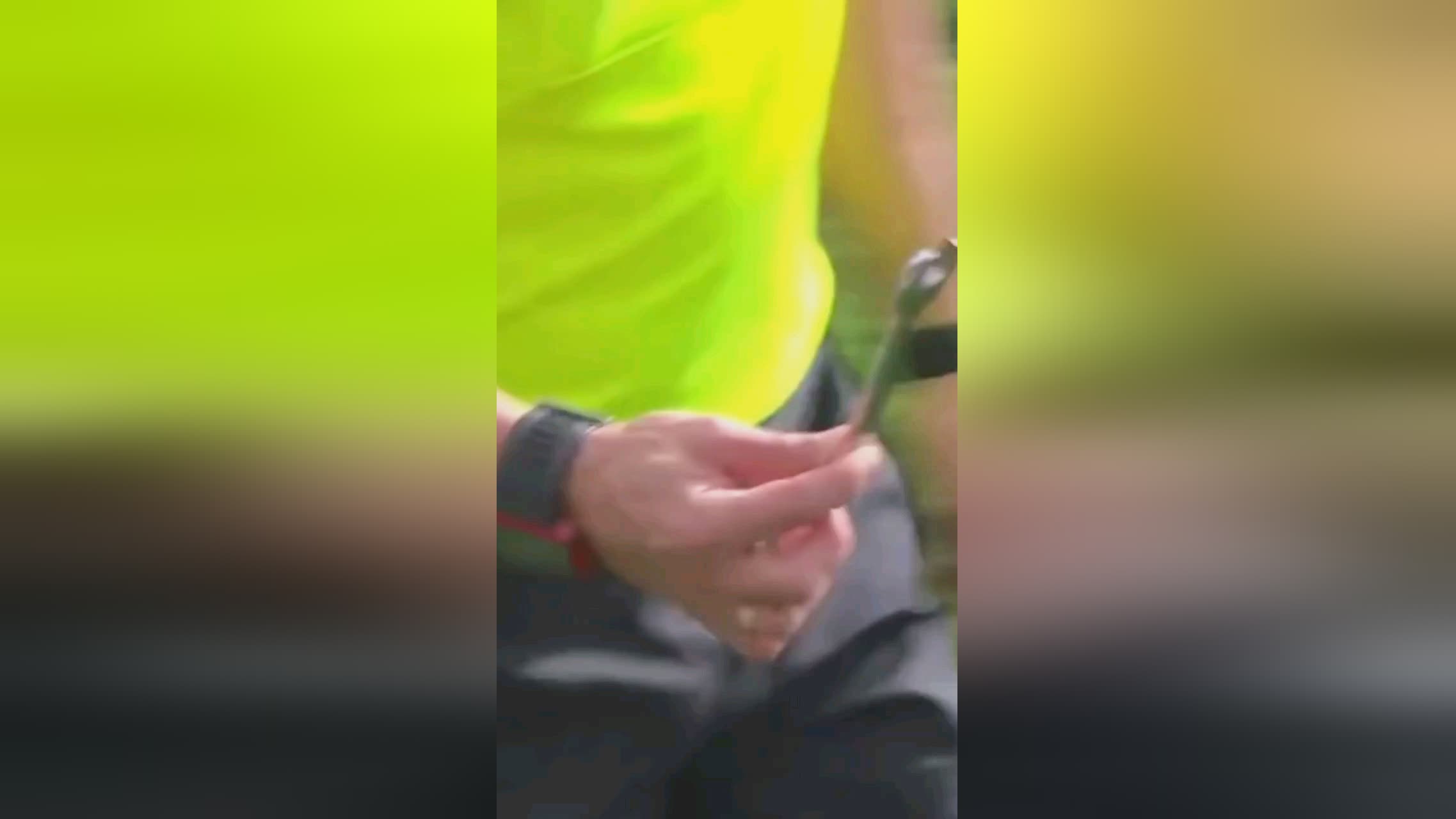 士队替